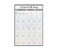 STEM Education Poster Detailed Amino Acids Reference Chart for Advanced Biology Classroom Homeschool Canvas Print(Framed,12X18inch(30X45cm))