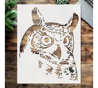 Stencil owl face, Plastic Reusable, Reusable Plastic, 10 inchL x 8 inchW, for DIY Crafts and Home Decor