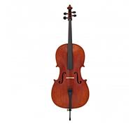 Stentor Elysia Cello 3/4 Instrument Only