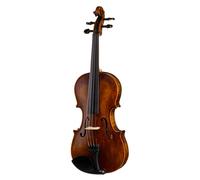 Stentor SR1864 Verona Violin 4/4