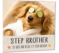 Step Brother Birthday Card - Funny Relaxed blonde long haired dachshund Birthday Cards for Step Brother