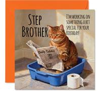 Step Brother Birthday Card - Working on Something Special - Happy Birthday Card for Step Brother from Sister Sibling, 145mm Funny Cat Litter Tray Humour Bday Greeting Cards