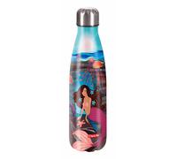 Step by Step Insulated Stainless Steel Drinking Bottle