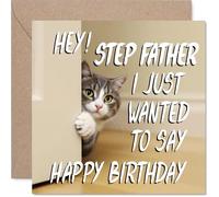 Step Father Birthday Card, Cute Cat Peekaboo