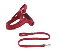 Step-in Dog Harness and Leash Set, Soft Mesh No-Chock Reflective Breathable Easy Walk Escape Proof Vest Harnesses with Safety Buckle for Small Medium Dogs, Cats, Puppies,D-XLarge