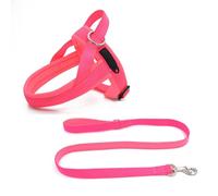 Step-in Dog Harness and Leash Set, Soft Mesh No-Chock Reflective Breathable Easy Walk Escape Proof Vest Harnesses with Safety Buckle for Small Medium Dogs, Cats, Puppies,C-XLarge
