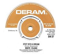 Step Into A Dream