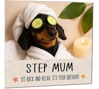 Step Mum Birthday Card - Sit Back and Relax Funny Sausage Dog Birthday Cards for Step Mum
