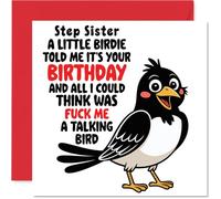 Step Sister Birthday Card - Talking Bird - Happy Birthday Card for Step Sister from Brother Sibling, 145mm Talking Bird Bday Greeting Cards