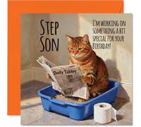 Step Son Birthday Card - Working on Something Special - Happy Birthday Card for Step Son from Dad Mum, 145mm Funny Cat Litter Tray Humour Bday Greeting Cards