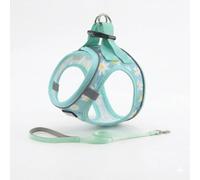STEP TO LEAD Floral Mesh Dog Harness & Leash Set, Aqua Floral, Medium
