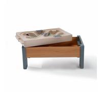 Step2 Harmony Activity Table