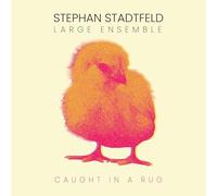 Stephan Stadtfeld Large Ensemble - Caught in a Rug