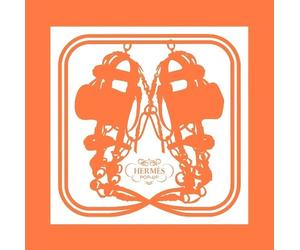 Stéphane Foenkinos Pierre-Alexis Dumas Bernard Duisit Hermès pop-up (Hardback)