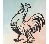 Stephen Evens - Bonjour Poulet [VINYL]