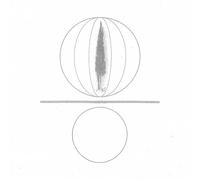 Stephen O’Malley - Spheres Collapser [VINYL]