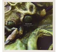 Stephen O'malley - Eternelle Idole [VINYL]