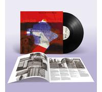 Stephen Pastel And Gavin Thomson - This Is Memorial Device [VINYL]
