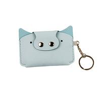 STERCULIA Birth Control Pill Case/Wallet PU Leather Medicine Holder (Light Blue)