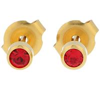 Sterile Stud Earrings Surgical Steel Gold-Plated 4 mm Frame with Stone, ca. 4 mm x 4 mm x 11 mm, Stone
