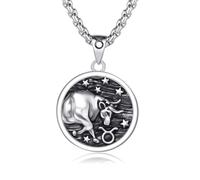 Sterling Silver 12 Constellation Coin Pendant s Horoscope Astrology Embossed Jewelry Birthday Gift for Women Men