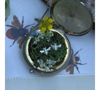 Sterling Silver Bee Stud Earrings