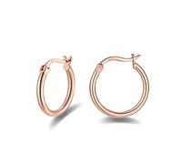 Sterling Silver Hoops Earrings for Women, 925 Sterling Silver Post Small Silver Hoop Earrings, Rose Gold Plated 20mm Hypoallergenic Sleeper Endless Circle Hoops Huggie Hinged Earrings for Women Girls