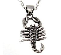 Sterling Silver Scorpio (The Scorpion) Pendant Necklace & 18" Chain