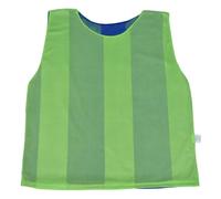 Sterling Sports 10 X Pack Football Training Bibs with Double Sided - Quick Dry Training Bibs For Football, Soccer, Cricket, Hockey & Basketball (Green/Royal Blue, Junior (7 to 12 years old))