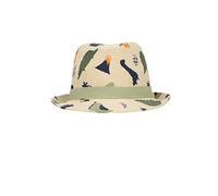 Children's straw hat Sterntaler Dinosaures Beige 53/55 cm