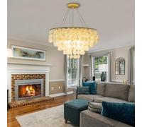 Stesulfr Chandelier Coastal Style E14 Gold Ceiling Lamp Natural Shell Decoration Large Living Room Pendant Light Classic Bohemian Capiz Shell Lighting Fixtures Suitable for Restaurant Hotel Cafe(50cm)