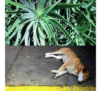 STEVE BATES - ALL THE THINGS THAT HAPPEN - CD - 40 - D3447z