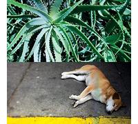 Steve Bates - All The Things That Happen [VINYL]