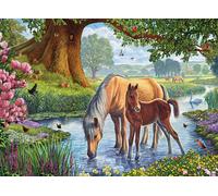 Steve Crisp - The Fell Ponies