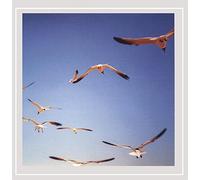 Steve Dalachinsky - I Thought It Was of World Then The End