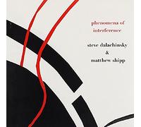 Steve Dalachinsky & Matthew Shipp - Phenomena Of Interference