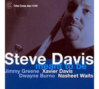Steve Davis - Meant to Be