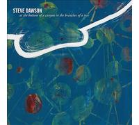 Steve Dawson - At The Bottom Of A Canyon In The Branches Of A Tree [VINYL]