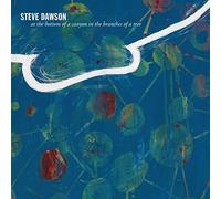 Steve Dawson – At The Bottom Of A Canyon In The Branches Of A Tree – Vinyl – Nuclear Blast