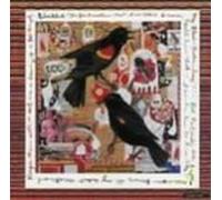 Steve Earle - Just An American Boy, Audio Do