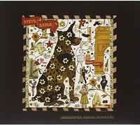 Steve Earle - Washington Square Serenade [VINYL]