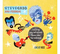 Steve Gadd - Gadd Live!