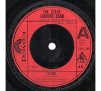 Steve Gibbons Band - Tulane