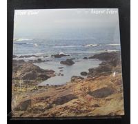 Steve Gunn - Ancient Jules [VINYL]