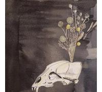 Steve Gunn and The Black Twig Pickers Seasonal Hire (CD) Album (US IMPORT)