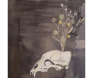 Steve Gunn and The Black Twig Pickers - Seasonal Hire [VINYL]