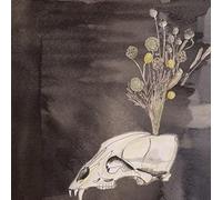 Steve Gunn and The Black Twig Pickers - Seasonal Hire