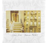 Steve Gunn - Boerum Palace