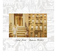 Steve Gunn - Boerum Palace [VINYL]