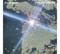 STEVE GUNN: DAYLIGHT DAYLIGHT - LP vinyl